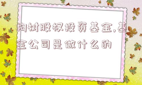 构树股权投资基金,基金公司是做什么的  第1张