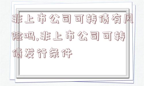 非上市公司可转债有风险吗,非上市公司可转债发行条件  第1张