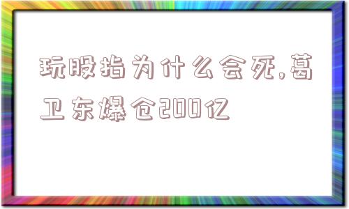 玩股指为什么会死,葛卫东爆仓200亿  第1张