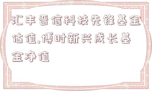 汇丰晋信科技先锋基金估值,博时新兴成长基金净值  第1张