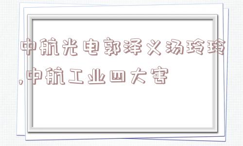 中航光电郭泽义汤玲玲,中航工业四大害  第1张