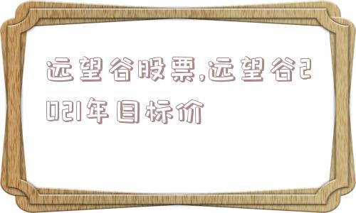 远望谷股票,远望谷2021年目标价  第1张