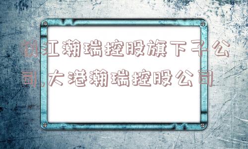 镇江瀚瑞控股旗下子公司,大港瀚瑞控股公司  第1张