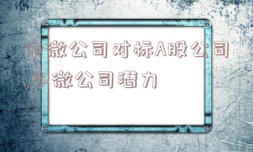 中微公司对标A股公司,中微公司潜力  第1张