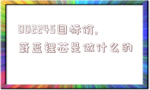 002245目标价,蔚蓝锂芯是做什么的  第1张