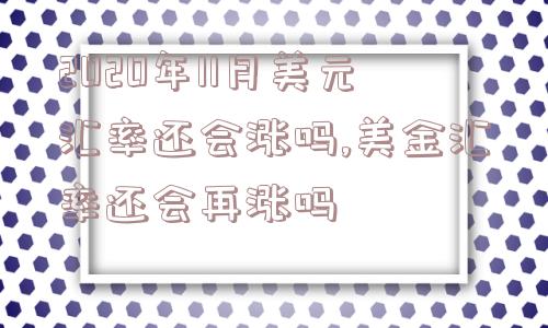 2020年11月美元汇率还会涨吗,美金汇率还会再涨吗  第1张