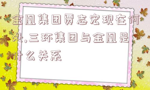 金凰集团贾志宏现在何处,三环集团与金凰是什么关系  第1张