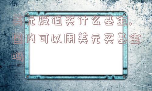 美元贬值买什么基金,国内可以用美元买基金吗  第1张