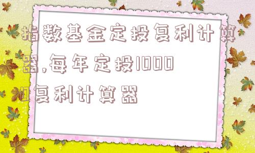 指数基金定投复利计算器,每年定投10000复利计算器  第1张