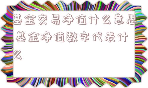 基金交易净值什么意思,基金净值数字代表什么  第1张