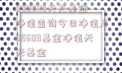 000828天天基金净值查询今日净值,005609基金净值天天基金  第1张