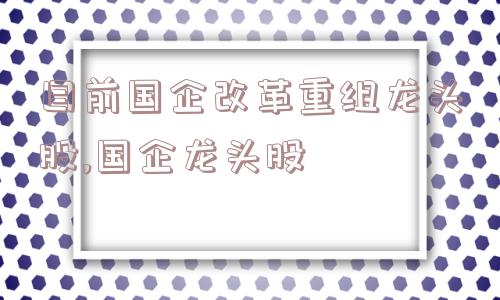 目前国企改革重组龙头股,国企龙头股  第1张