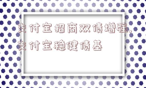 支付宝招商双债增强,支付宝稳健债基  第1张