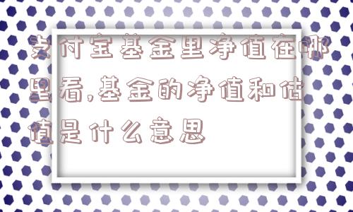 支付宝基金里净值在哪里看,基金的净值和估值是什么意思  第1张