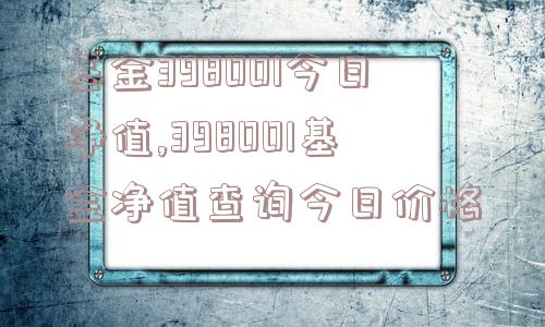 基金398001今日净值,398001基金净值查询今日价格  第1张