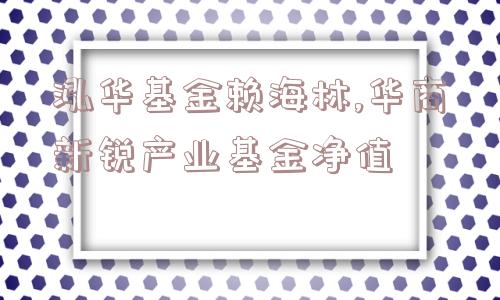 泓华基金赖海林,华商新锐产业基金净值  第1张