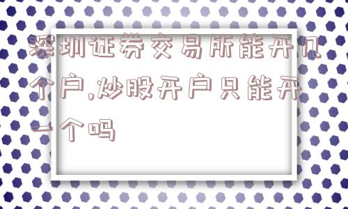 深圳证券交易所能开几个户,炒股开户只能开一个吗  第1张