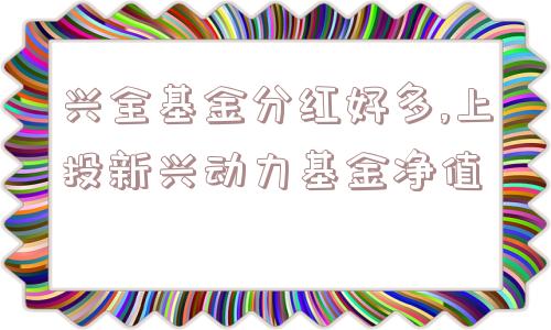 兴全基金分红好多,上投新兴动力基金净值  第1张