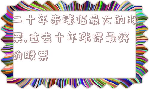 二十年来涨幅最大的股票,过去十年涨得最好的股票  第1张