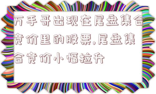 万手哥出现在尾盘集合竞价里的股票,尾盘集合竞价小幅拉升  第1张