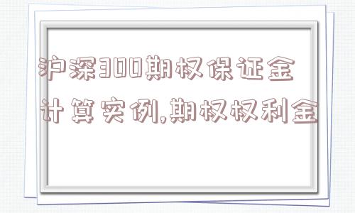 沪深300期权保证金计算实例,期权权利金  第1张