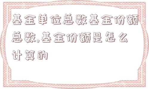 基金单位总数基金份额总数,基金份额是怎么计算的  第1张