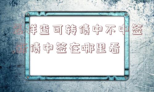 怎样查可转债中不中签,新债中签在哪里看  第1张