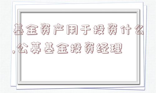 基金资产用于投资什么,公募基金投资经理  第1张