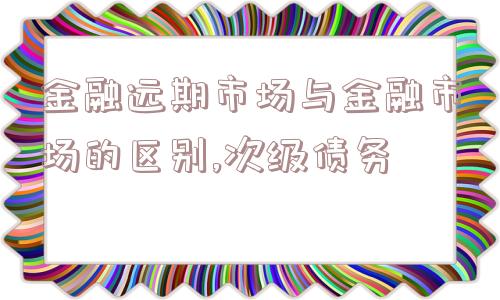 金融远期市场与金融市场的区别,次级债务  第1张