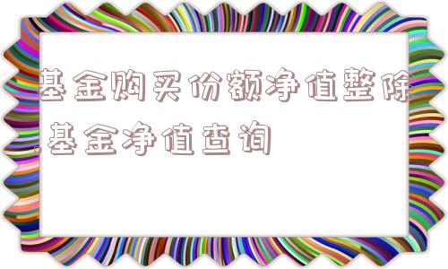 基金购买份额净值整除,基金净值查询  第1张