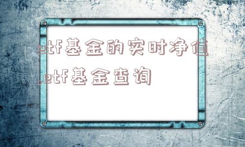 etf基金的实时净值,etf基金查询  第1张