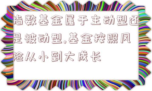 指数基金属于主动型还是被动型,基金按照风险从小到大成长  第1张