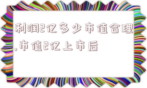 利润2亿多少市值合理,市值2亿上市后  第1张