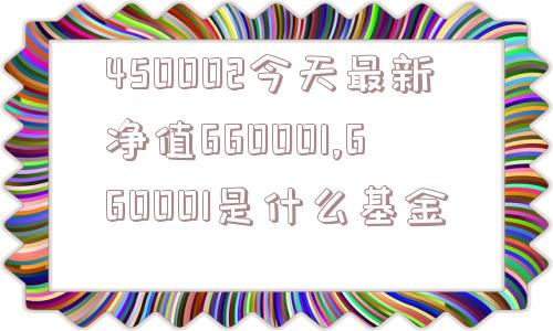 450002今天最新净值660001,660001是什么基金  第1张