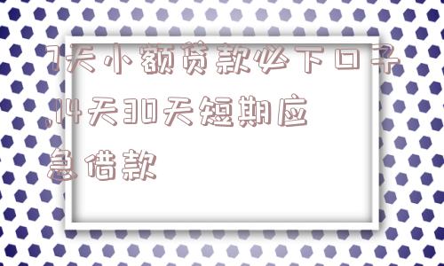 7天小额贷款必下口子,14天30天短期应急借款  第1张