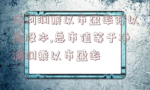 净利润乘以市盈率除以总股本,总市值等于净利润乘以市盈率  第1张