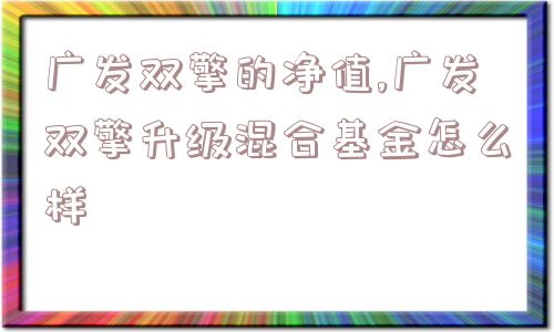 广发双擎的净值,广发双擎升级混合基金怎么样  第1张