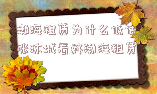 渤海租赁为什么低估,张沐城看好渤海租赁  第1张