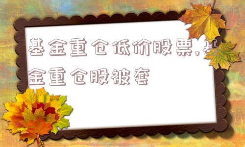 基金重仓低价股票,基金重仓股被套  第1张