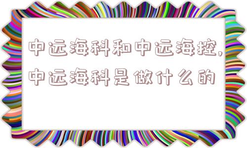 中远海科和中远海控,中远海科是做什么的  第1张