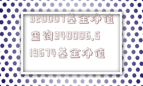 320007基金净值查询340006,519674基金净值  第1张