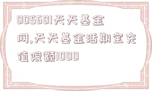 005601天天基金网,天天基金活期宝充值限额1000  第1张